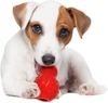 Nylabone Strong Chew Cone Stuffable Chew Toy for Dogs Bacon Flavor Small/Regular - Up to 25 Ibs