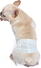 WAGS & WIGGLES Dog Diapers For Male Dogs - X Small