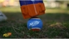 Đồ chơi bắn bóng tennis Nerf Dog cho chó 16 inch