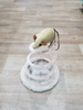 Đồ chơi mèo lò xo LZ0129