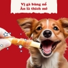 DOGGY MAN que cuốn thịt gà mini 20 cây