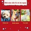 DOGGY MAN que cuốn thịt gà mini 20 cây