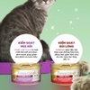 Pate Aatas Daily Defence - Dòng hỗ trợ chức năng - Lon 80g