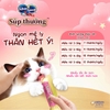 Súp Thưởng Mèo Silver Spoon Nhiều Vị (Gói 48g – 8 Thanh x 6g)