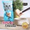 Snack Fillet Cho Mèo Kit Cat 30g Nhiều Hương Vị