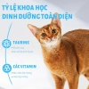 THỨC ĂN HẠT MR. VET CHO MÈO 1KG NHIỀU VỊ