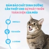 THỨC ĂN HẠT MR. VET CHO MÈO 1KG NHIỀU VỊ