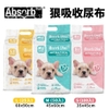 TÃ LÓT CHO CHÓ ABSORB PLUS CHARCOAL VÀ ANTIBACTERIAL