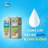 Sữa Úc PETS OWN 1L cho mèo