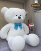 Gấu Bông Teddy Big Size