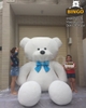 Gấu Bông Teddy Big Size