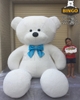 Gấu Bông Teddy Big Size