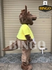 Mascot Chuột Túi Kangaroo