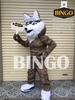 Mascot con chó sói