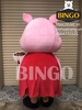 Mascot Con Heo 05