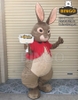 Mascot Con Thỏ 05