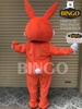 Mascot Con Thỏ 06