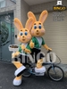 Mascot Con Thỏ 08