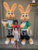 Mascot Con Thỏ 08