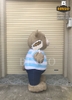 Mascot Hơi Gấu Baby