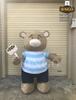 Mascot Hơi Gấu Baby