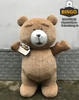 Mascot Hơi Gấu Teddy
