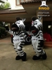 Mascot Ngựa Vằn
