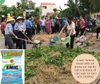 Chế phẩm vi sinh xử lý chất hữu cơ EMIC giá rẻ