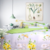 Bộ chăn ga gối drap giường màu trơn cotton satin Ai Cập Julia 547