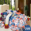 Bộ chăn ga gối drap giường cotton satin Hàn Quốc Julia 486BC