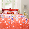 Bộ chăn ga gối drap giường màu trơn cotton satin Hàn Quốc Julia 494BC