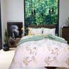 Bộ chăn ga gối drap giường cotton satin Hàn Quốc Julia 402