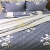 Bộ chăn ga gối drap giường cotton satin Hàn Quốc Julia 401