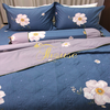 Bộ chăn ga gối drap giường cotton satin Hàn Quốc Julia 405