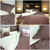 Bộ chăn ga gối drap giường màu trơn cotton satin Ai Cập Julia 539