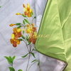 Bộ chăn ga gối drap giường màu trơn cotton satin Ai Cập Julia 547