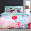Bộ chăn ga gối drap giường cotton satin Hàn Quốc Julia 495BC