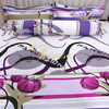 Bộ chăn ga gối drap giường 100% cotton Hàn Quốc Julia 115BC