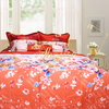 Bộ chăn ga gối drap giường màu trơn cotton satin Hàn Quốc Julia 494