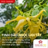 Tinh dầu IDANGCAP ngọc lan tây nguyên chất 10ml