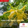 Tinh dầu IDANGCAP ngọc lan tây nguyên chất 50ml
