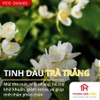 Tinh dầu IDANGCAP trà trắng nguyên chất 10ml