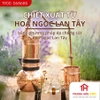 Tinh dầu IDANGCAP ngọc lan tây nguyên chất 10ml
