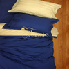Bộ chăn ga gối drap giường màu trơn cotton satin Ai Cập Julia 534