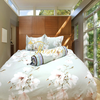 Bộ chăn ga gối drap giường 100% cotton sợi bông Hàn Quốc Julia 226
