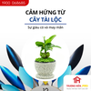 Đồng hồ trang trí HUFA - ĐH 625