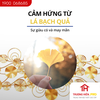 Đồng hồ trang trí HUFA - ĐH 576
