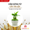 Đồng hồ trang trí HUFA - ĐH 508