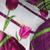 Bộ chăn ga gối drap giường cotton satin Hàn Quốc Julia 489
