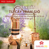 Tinh dầu IDANGCAP tràm gió nguyên chất 10ml